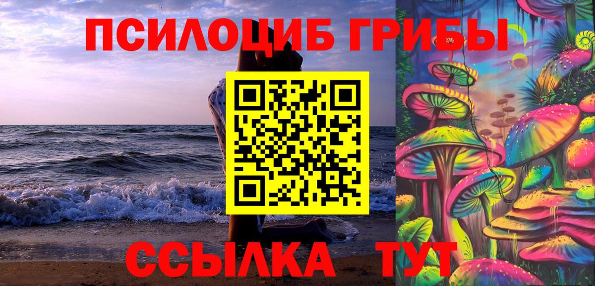 Псилоцибиновые грибы Psilocybine cubensis Котовск