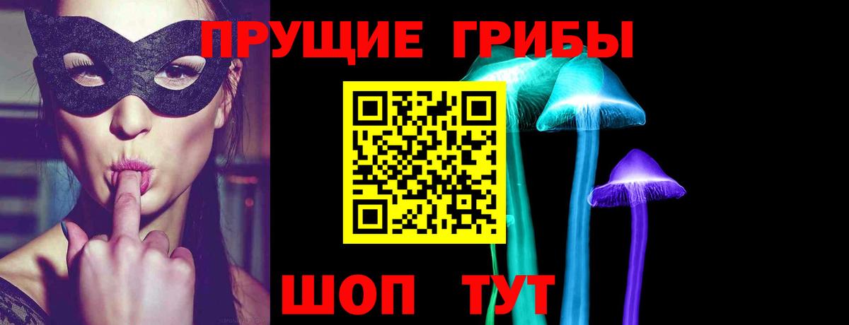 Псилоцибиновые грибы мухоморы  купить  цена  Котовск  Вход с VPN 